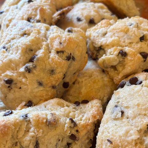 Chocolate Chip Scone